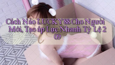 Cách nào Lucky88 cho người mới, tạo áp lực nhanh tỷ lệ 209