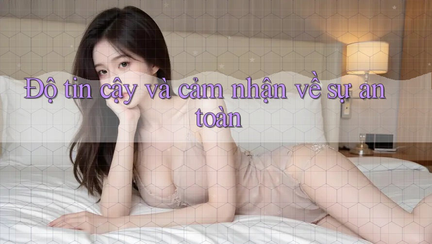 Độ tin cậy và cảm nhận về sự an toàn Độ tin cậy và cảm nhận về sự an toàn
