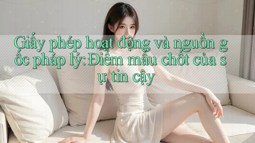 Giấy phép hoạt động và nguồn gốc pháp lý: Điểm mấu chốt của sự tin cậy Giấy phép hoạt động và nguồn gốc pháp lý: Điểm mấu chốt của sự tin cậy
