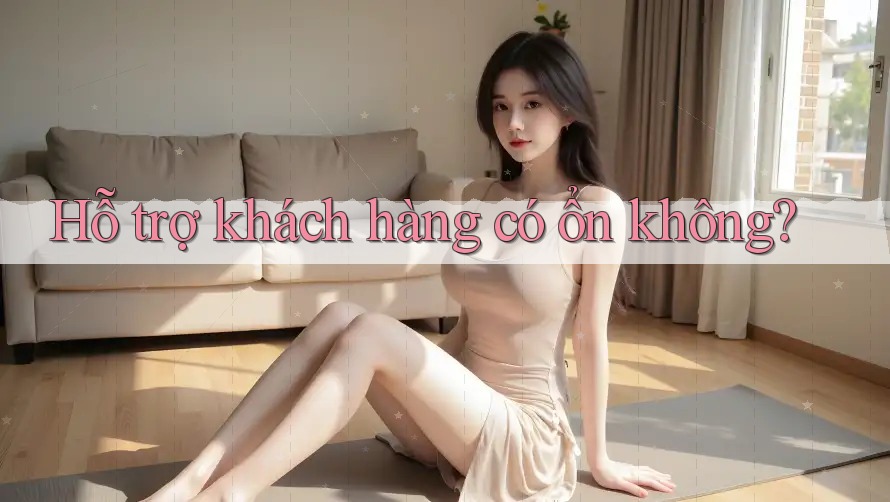 Hỗ trợ khách hàng có ổn không?